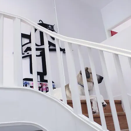 The Top Floor Of My House Homestay Porto