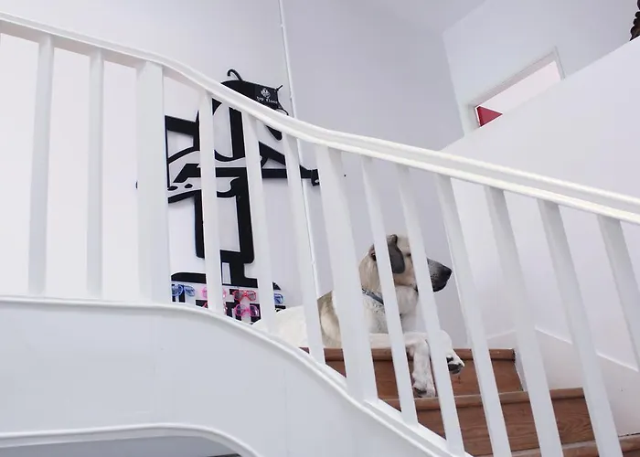 The Floor Of My House Alloggio in famiglia Oporto