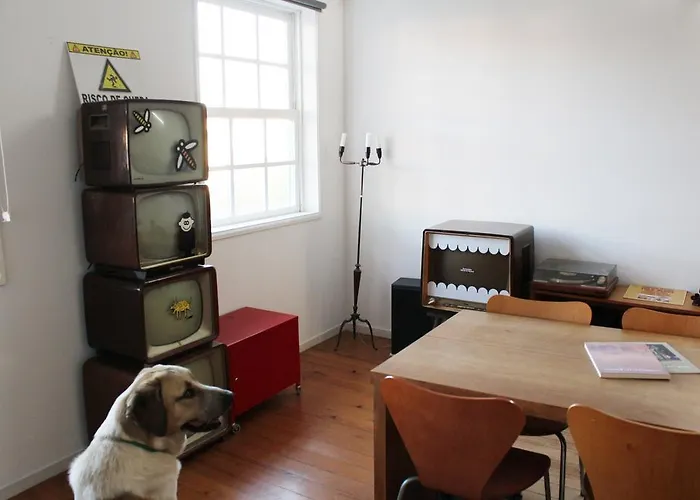 The Floor Of My House Porto